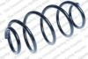 LESJ?FORS 4077822 Coil Spring